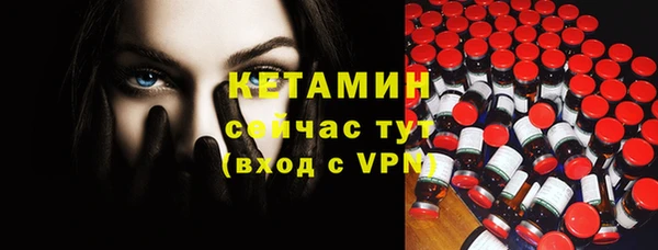 шишки Абаза