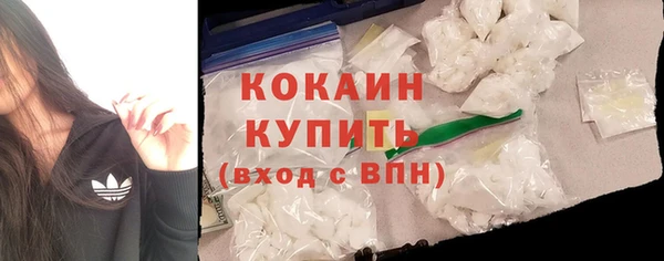 шишки Абаза