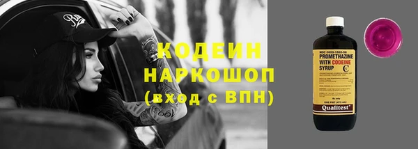 шишки Абаза