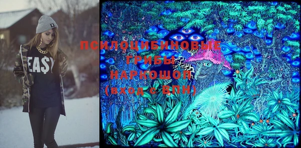 шишки Абаза