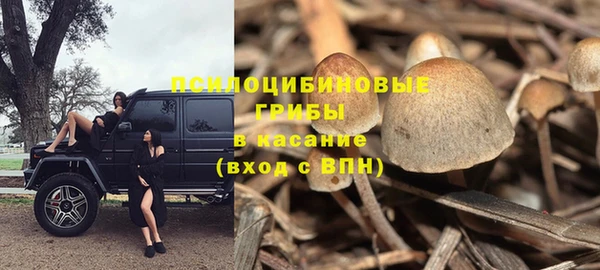 крисы Алексеевка