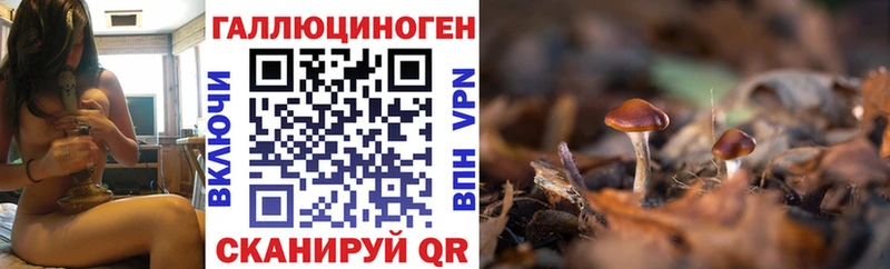 даркнет сайт  Казань  Псилоцибиновые грибы мухоморы 
