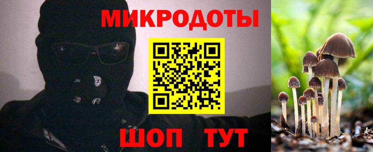 Галлюциногенные грибы прущие грибы Казань